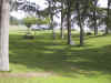 IMG_0797.JPG (137342 bytes)